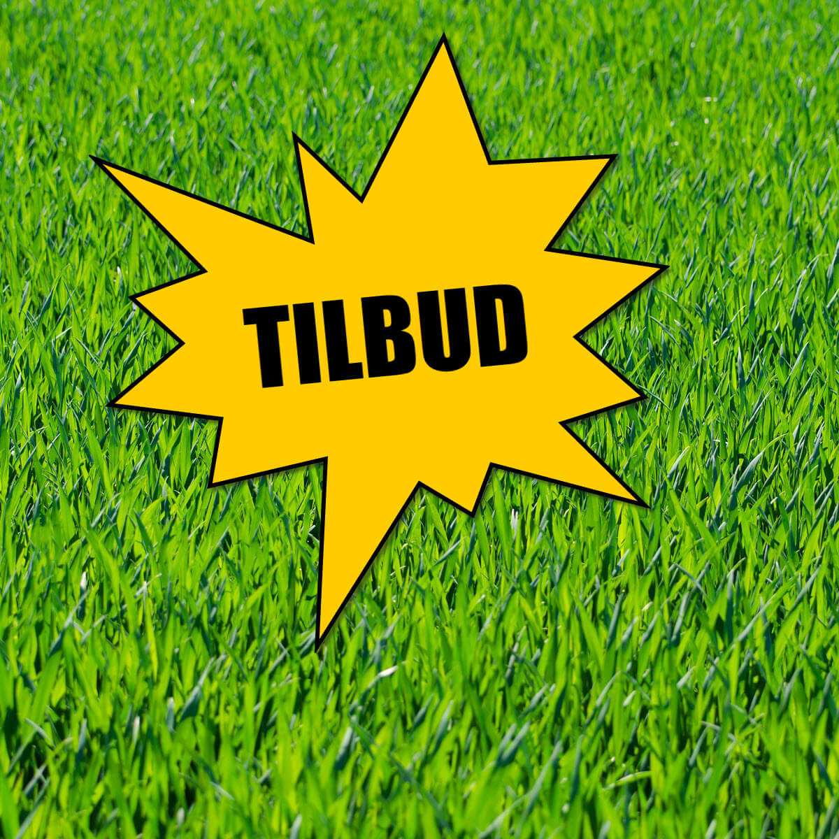 Tilbud