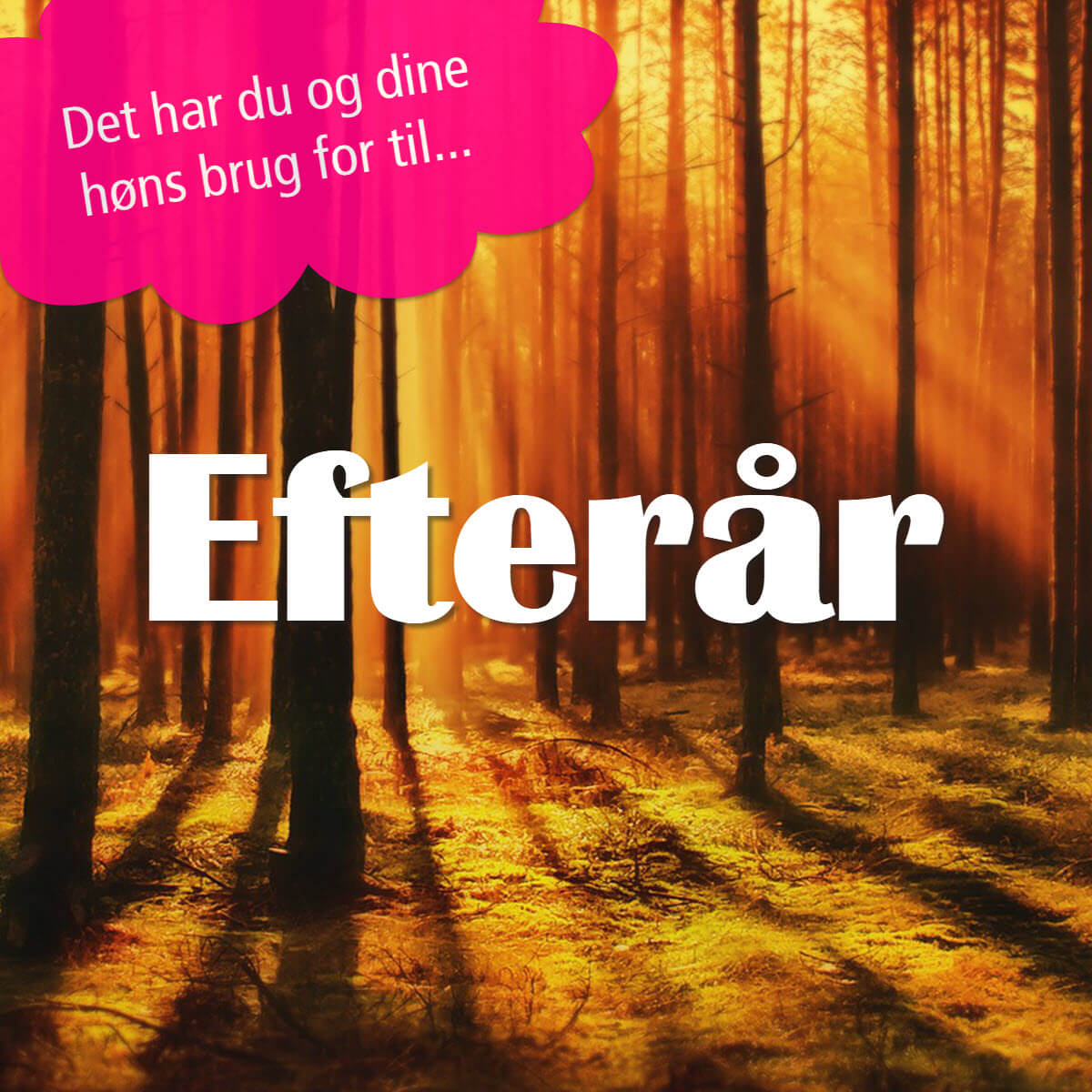 Efterår