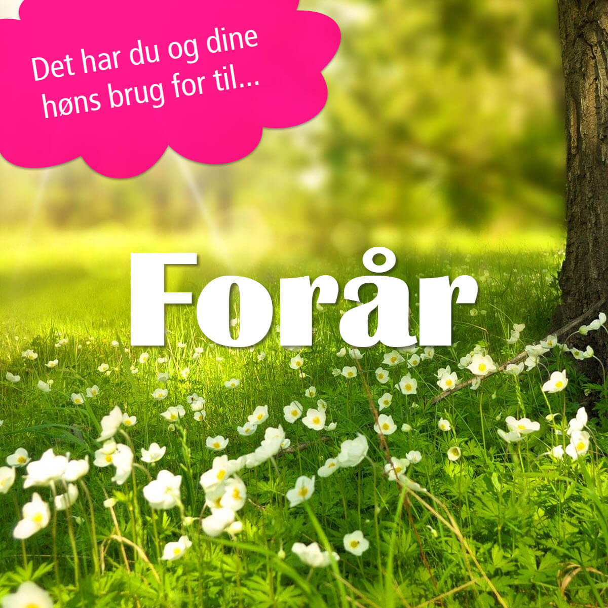 Forår
