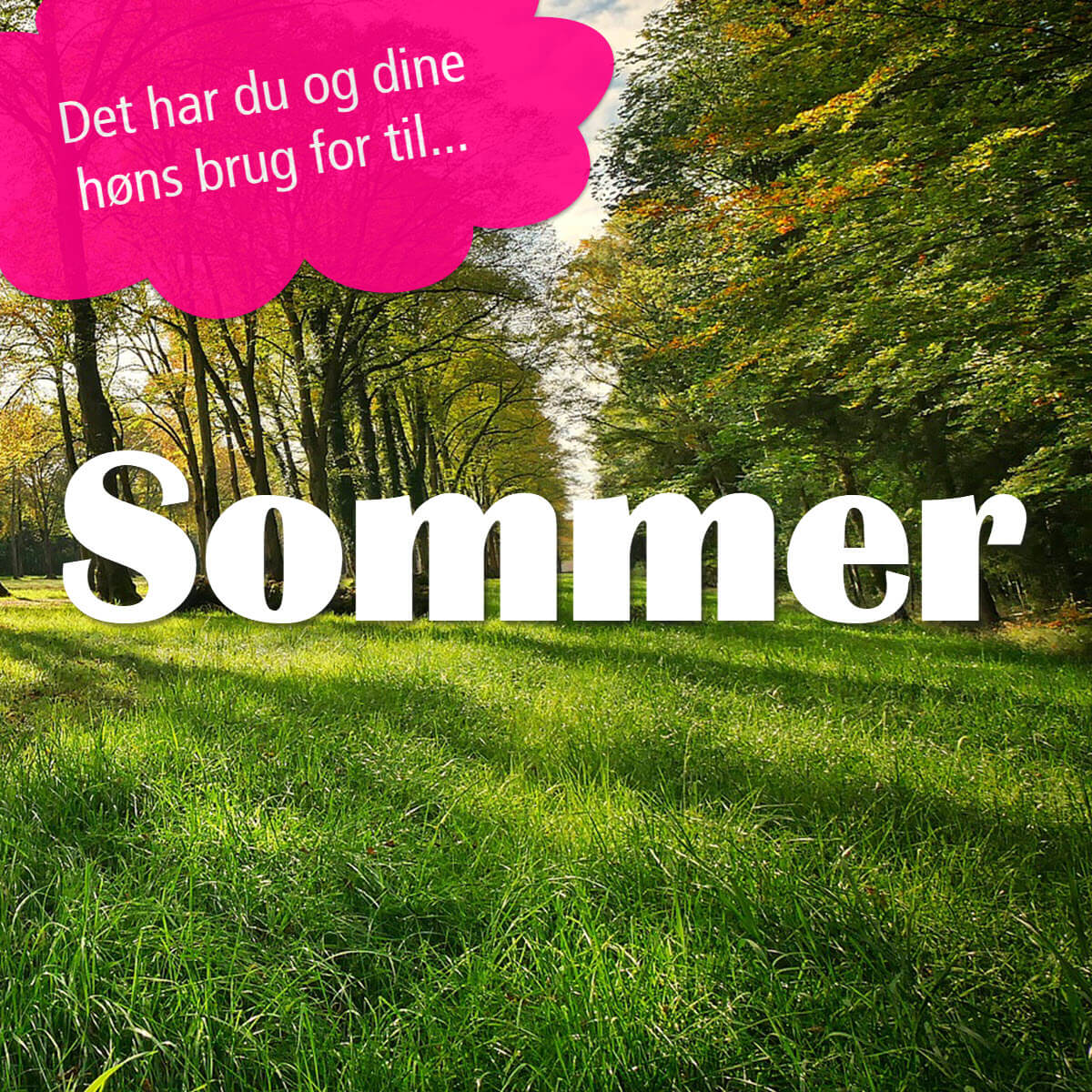 Sommer
