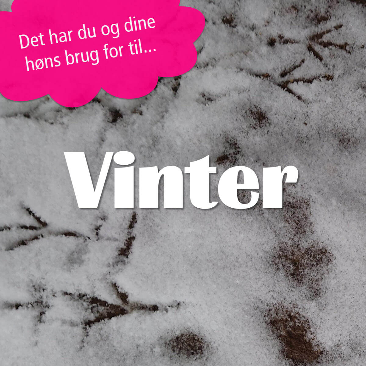 Vinter